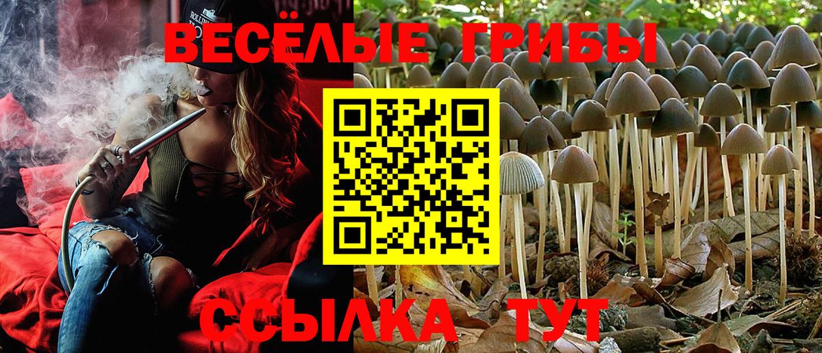 Псилоцибиновые грибы прущие грибы Керчь